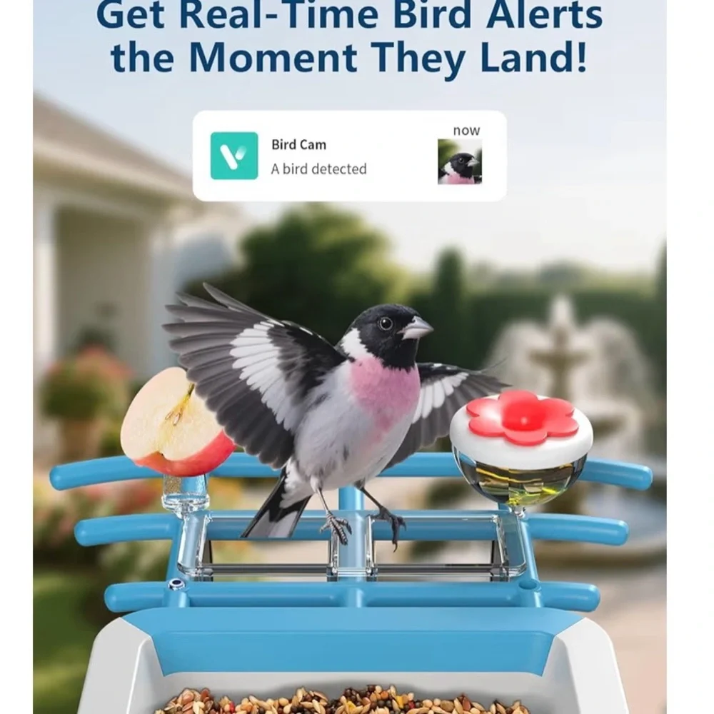 N/A 🐦‍⬛🪺smart bird